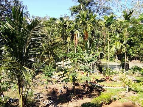 Orchid Bungalow & Restaurant Hotel Timbanglawang Buitenkant foto